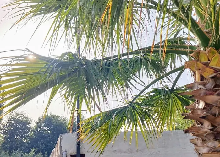 Erdem Ciftligi/ Ephesus Arena Apartamento *