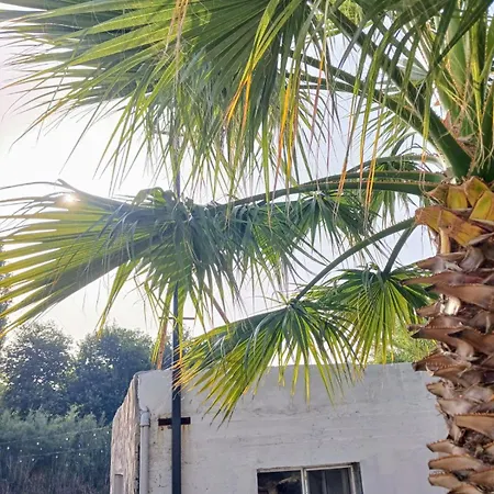 Erdem Ciftligi/ Ephesus Arena Lägenhet *