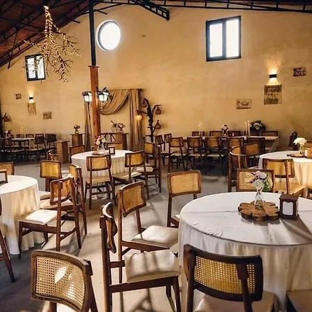 Erdem Ciftligi/ Ephesus Arena * 셀주크