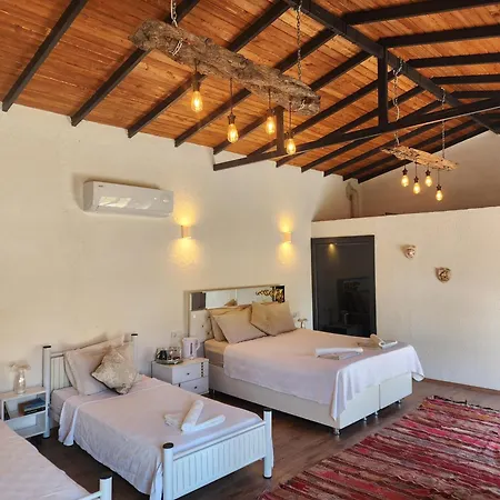 Erdem Ciftligi/ Ephesus Arena Appartement *