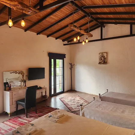 Erdem Ciftligi/ Ephesus Arena * Selçuk