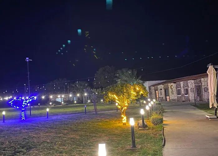 Erdem Ciftligi/ Ephesus Arena