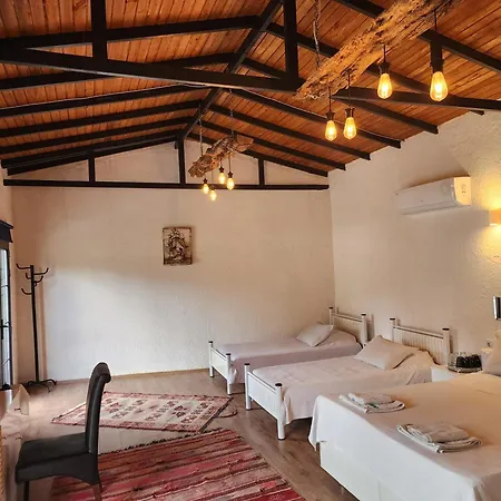 Erdem Ciftligi/ Ephesus Arena Apartment Selcuk