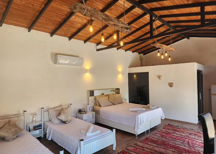 Erdem Ciftligi/ Ephesus Arena Apartment *